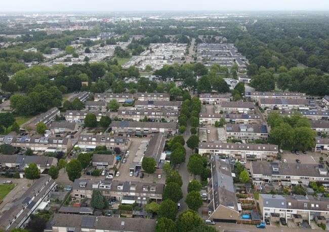 Stemmen in een tijd van verdeeldheid