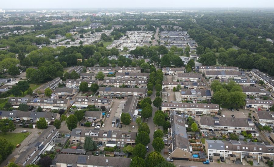 Stemmen in een tijd van verdeeldheid