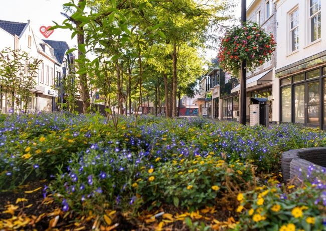 Live talkshows tijdens Nationale Groenweek vanuit Oss