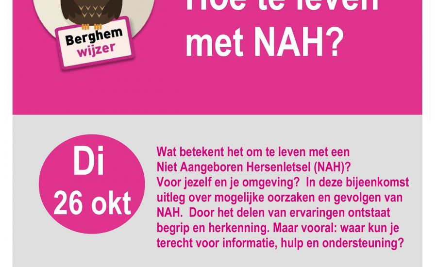 Lezing: Hoe te leven met Niet Aangeboren Hersenletsel